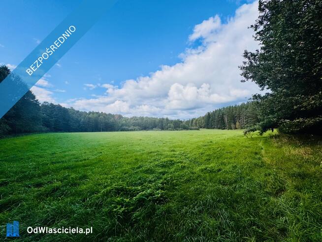 Wyjątkowa działka 2,42 ha wśród zieleni. Cisza, prywatność, natura