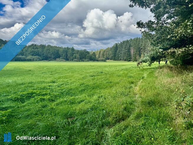 Wyjątkowa działka 2,42 ha wśród zieleni. Cisza, prywatność, natura