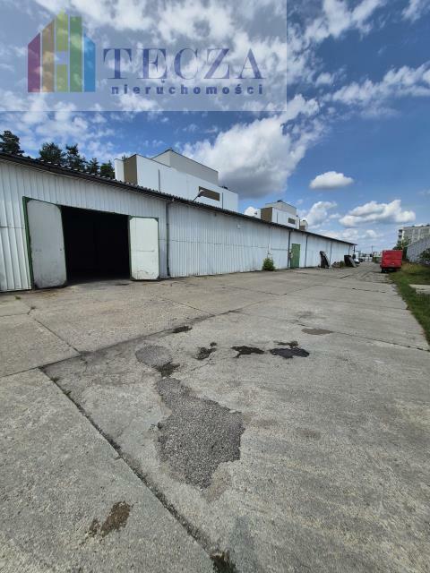 Lokal użytkowy Ząbki