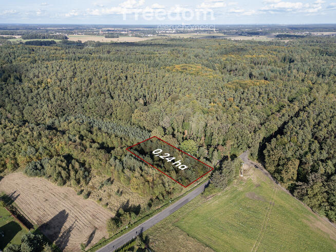Działka na sprzedaż rolna/ leśna.