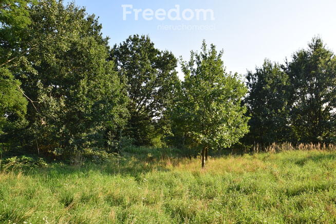 Działki na sprzedaż 17 ar