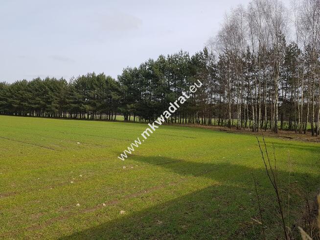 ⭐⭐⭐⭐Lux DZIAŁKA W OTULINIE LAsU Idealna cisza ⭐⭐⭐⭐