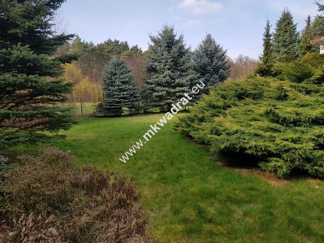 ⭐⭐⭐⭐Lux DZIAŁKA W OTULINIE LAsU Idealna cisza ⭐⭐⭐⭐