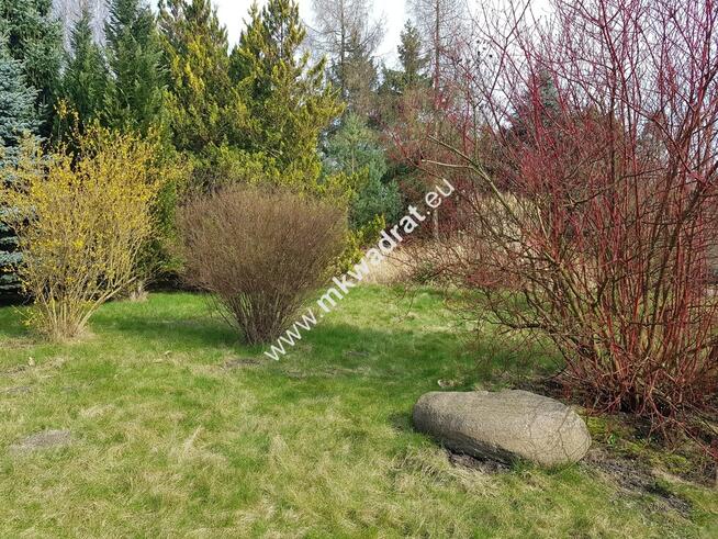 ⭐⭐⭐⭐Lux DZIAŁKA W OTULINIE LAsU Idealna cisza ⭐⭐⭐⭐