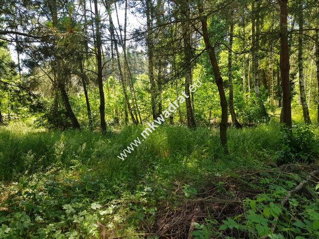 ⭐⭐⭐⭐⭐ Działka z MPZP zabud jednorodz 2-lokal.⭐⭐⭐⭐⭐