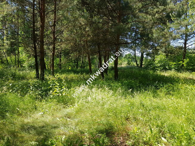 ⭐⭐⭐⭐⭐ Działka z MPZP zabud jednorodz 2-lokal.⭐⭐⭐⭐⭐