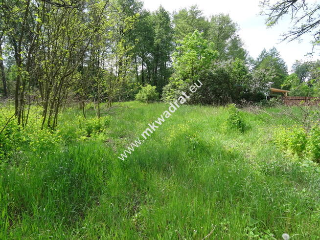 ⭐⭐⭐⭐⭐ Dwie działki 1900 + 3600m2 ⭐⭐⭐⭐⭐