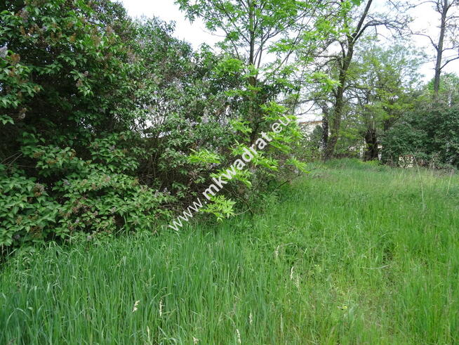 ⭐⭐⭐⭐⭐ Dwie działki 1900 + 3600m2 ⭐⭐⭐⭐⭐