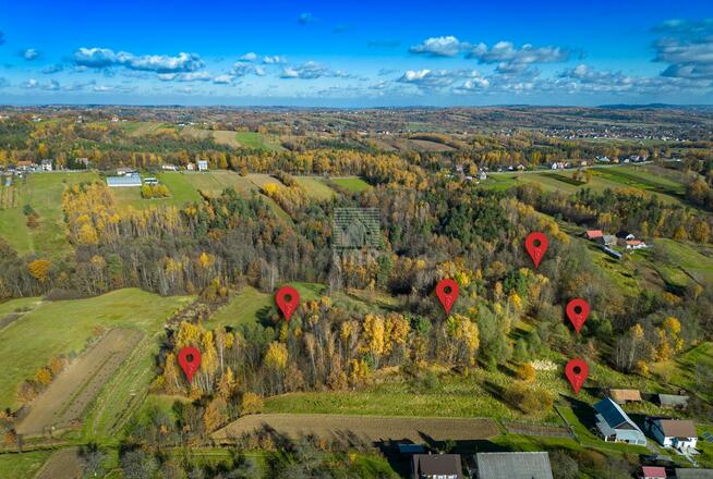 Działka gospodarstwo Rajbrot gm. Lipnica Murowana