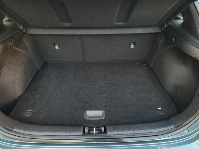 Kia Nowy Ceed Business Line 1.5 T-GDI 160KM manual/serwisowany w ASO/bezwypadkowy