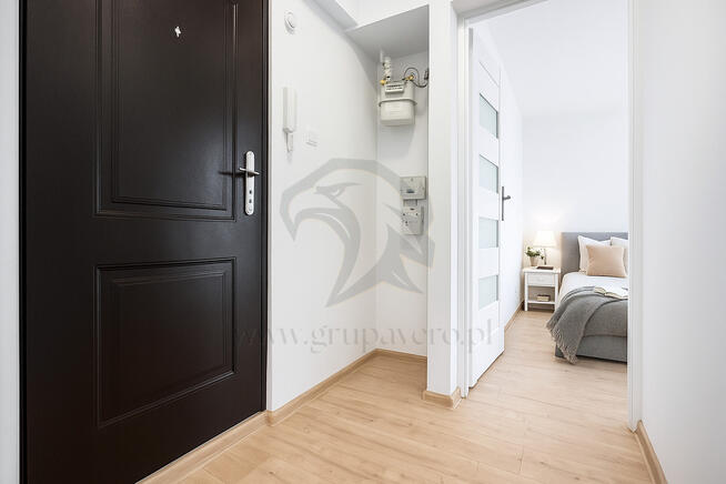 Tropem osobników w ich miejskim siedlisku