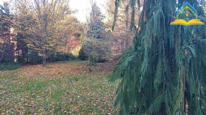 Działka Marylka gm. Tarczyn