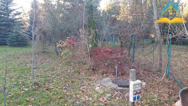 Działka Marylka gm. Tarczyn