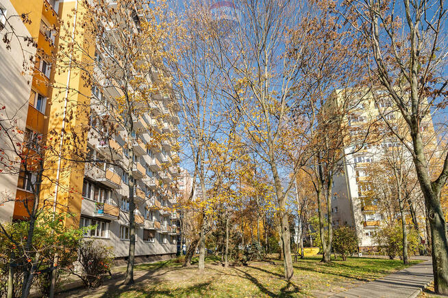 Dwupokojowe mieszkanie Głogowska