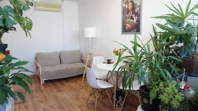 Mieszkanie Wrocław Fabryczna, Estońska