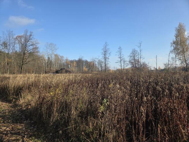 Działka przemysłowa Duchnów gm. Wiązowna, Leśny Zakątek