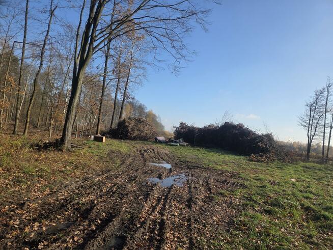 Działka przemysłowa Duchnów gm. Wiązowna, Leśny Zakątek