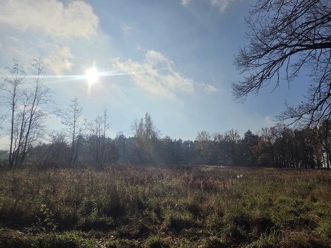 Działka przemysłowa Duchnów gm. Wiązowna, Leśny Zakątek