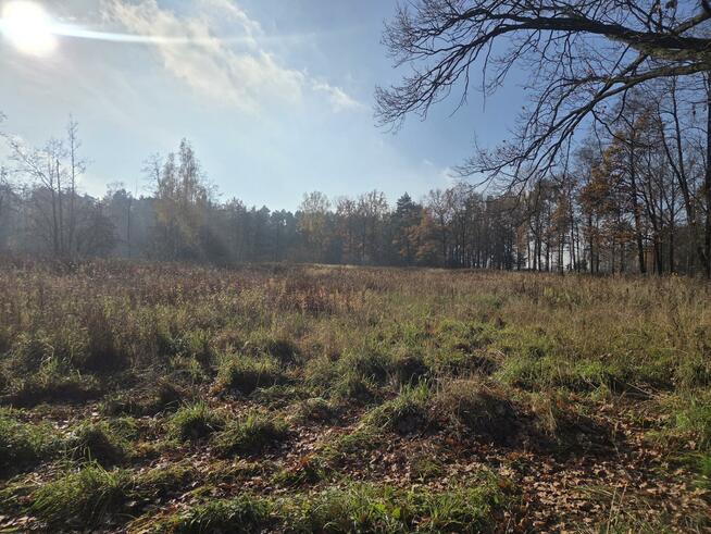 Działka przemysłowa Duchnów gm. Wiązowna, Leśny Zakątek