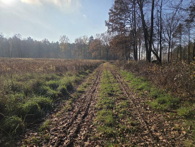 Działka przemysłowa Duchnów gm. Wiązowna, Leśny Zakątek