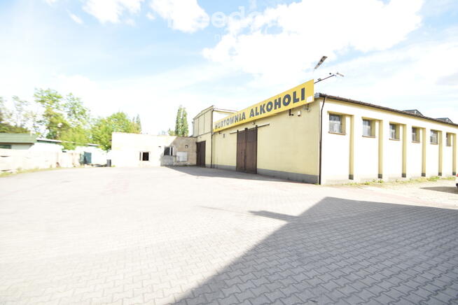 Magazyn wyskokiego składowania wynajmę.