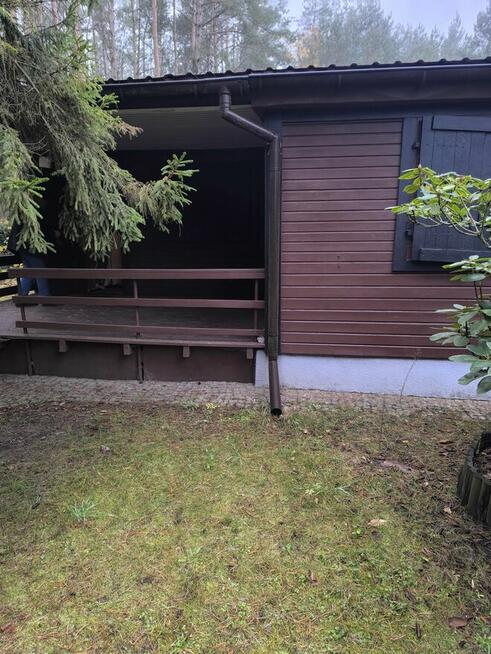 Sprzedam działkę leśną rod