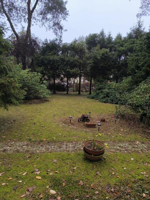 Sprzedam działkę leśną rod