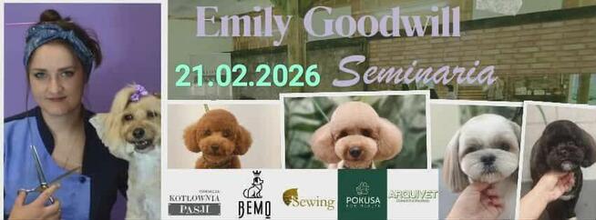 Szkolenia dla groomerów, COCKER SPANIEL i SZKOLENIE GŁÓWKOWE