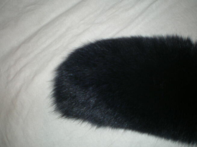 Sprzedam kołnierz koloru granatowego, długość 74 cm.