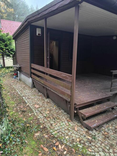 Sprzedam działkę leśną rod