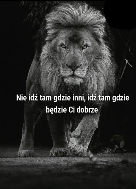 Szukam młodego do życia razem do związku