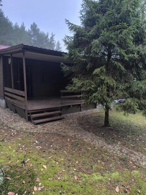 Sprzedam działkę leśną rod