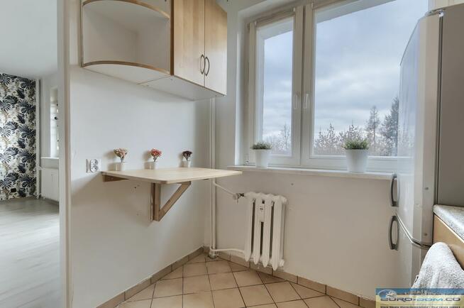 Przestronna KAWALERKA z francuskim balkonem.