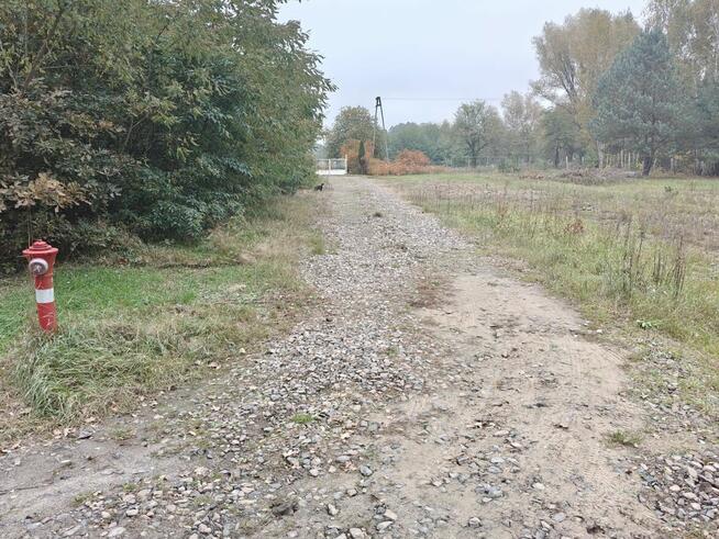 Syndyk sprzeda - Karolew