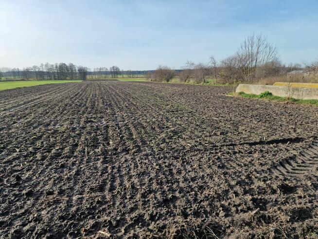 Działki rolne na sprzedaż - Biskupice, gm. Grodziec