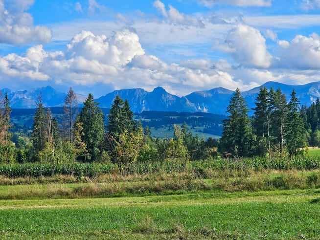 Budowlana działka w Cho