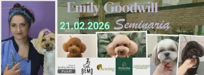 Szkolenie dla groomerów - Cocker Spaniel Angielski