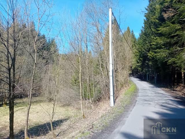 Działka rekreacyjna Zawoja