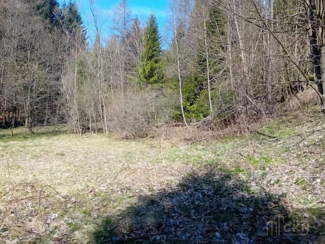 Działka rekreacyjna Zawoja