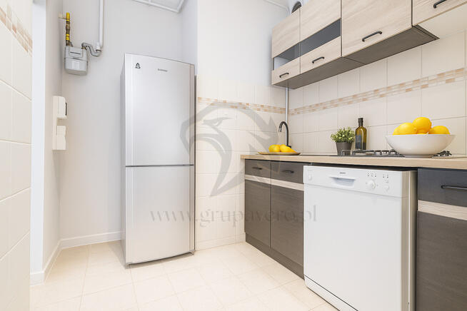 Twoja opowieść w koronach drzew