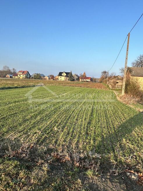 Działka budowlana Stasiówka gm. Łomazy, Stasiówka