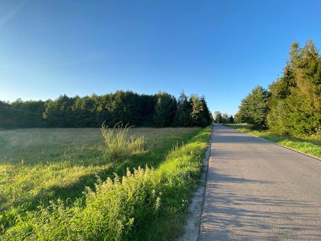 Okazja. Działki rolno-leśne o powierzchni 3 ha.