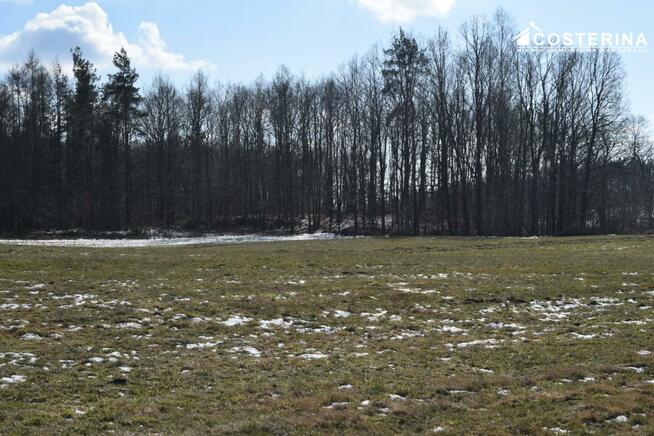 Działka budowlana Łebunia gm. Cewice