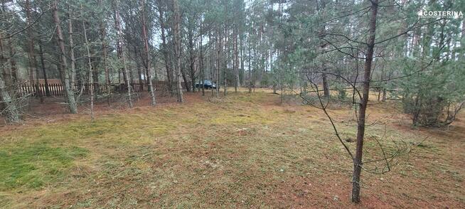 Działka rekreacyjna Wdzydze gm. Kościerzyna