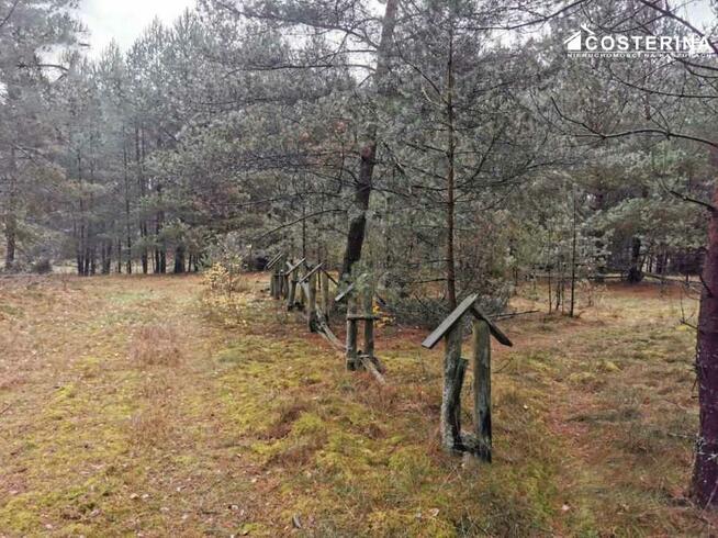 Działka rekreacyjna Wdzydze gm. Kościerzyna