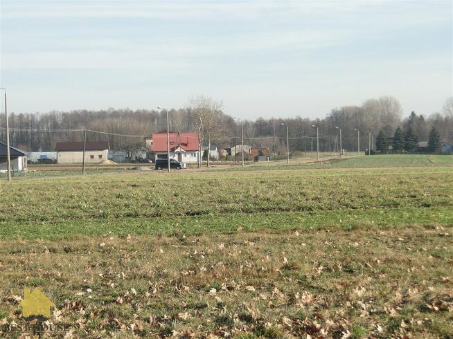 Działka inwestycyjna Radawiec Mały gm. Konopnica