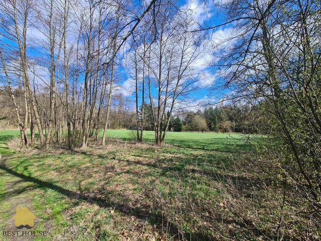 Działka Nowy Gaj gm. Wojciechów