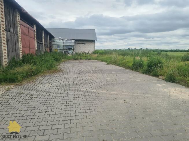 Lokal użytkowy Rossosz gm. Łęczna