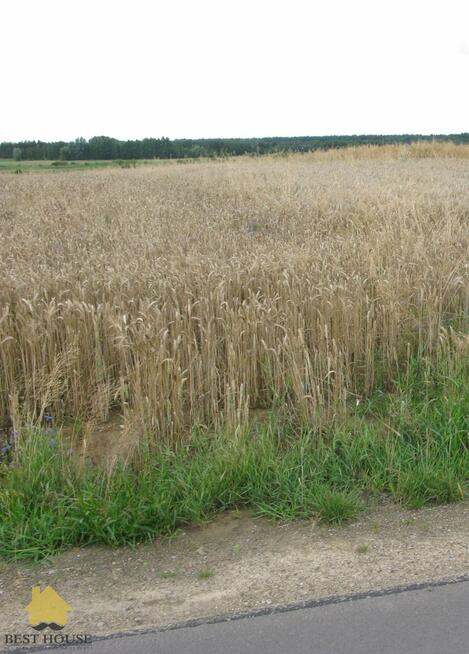 Działka budowlana Siostrzytów gm. Trawniki