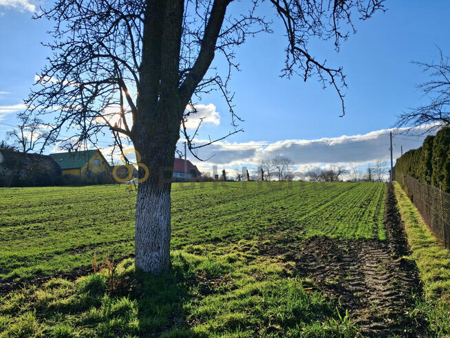 Działka budowlana Kurów Wielki gm. Gaworzyce,